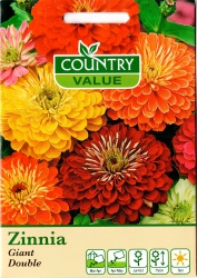 Zinnia Flower Seeds 'Giant Double Mixed' by Country Value