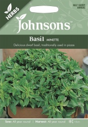 Basil Minette Seeds By Johonsons Seeds (Approx 300 Seeds)