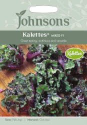 Kalettes Seeds Mixed F1 by Johnsons