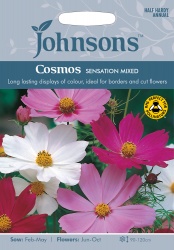 Cosmos 'Sensation Mixed' Seeds by Johnsons