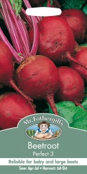 Beetroot Seeds Perfect 3 by Mr Fothergills
