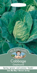 Cabbage Seeds Greyhound by Mr Fothergill's