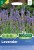 Lavender Seeds Munstead by Country Value