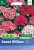 Sweet William Seeds Single Mixed by Country Value