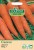 Carrot Seeds Autumn King 2 by Country Value