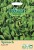 Seed Type: Spinach 'Lazio' (Approx 225 Seeds)