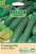 Seed Type: Courgette 'All Green Bush' (Approx 15 Seeds)