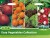 Easy Vegetables Collection by Country Value Seeds