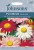 Pyrethrum Seeds 'Single Mixed' by Johnsons