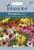 Echinacea Seeds 'Paradiso Mixed' by Johnsons