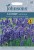 Lavender Seeds Hidcote Blue by Johnsons