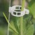Seed Type: Plant Support Clips (Pack Of 10)