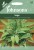 Sage Herb Seeds by Johnsons
