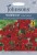 Wallflower Scarlet Bedder by Johnsons Seeds