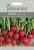 Radish Seeds 'Scarlet Globe' by Johnsons