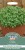 Seed Type: Cress 'American Land' (Approx 1000 Seeds)