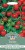 Seed Type: Tomato 'Gardener's Delight' MF (Approx 50 Seeds)