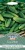 Seed Type: Gherkin Cucumber 'Cornichon de Paris' (Approx 20 Seeds)