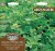 Seed Type: Green Manure Autumn Winter Mix MF