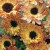 Calendula 'Sunset Buff' - Johnsons Seeds 75