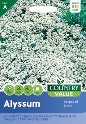Alyssum Seeds Carpet Of Snow by Country Value