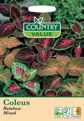 Coleus Seeds Rainbow Mixed By Country Value