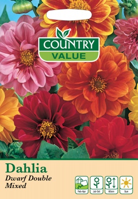 Dahlia Seeds Dwarf Double Mixed by Country Value
