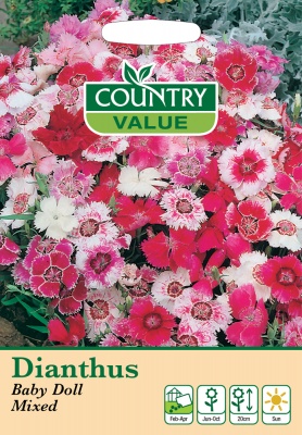 Dianthus Seeds Baby Doll Mixed by Country Value
