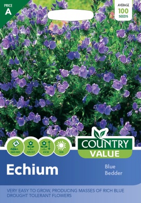 Echium Seeds Blue Bedder by Country Value