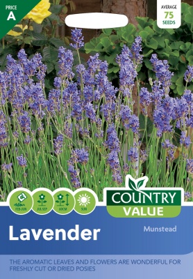 Lavender Seeds Munstead by Country Value