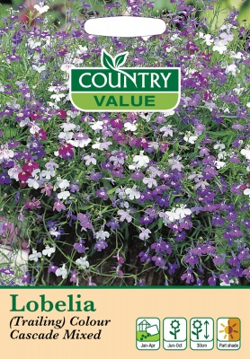 Lobelia Seeds Trailing Colour Cascade Mixed by Country Value