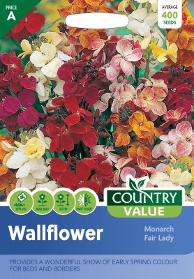 Wallflower Seeds Monarch Fair Lady by Country Value