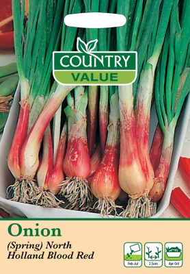 Spring Onion Seeds North Holland Blood Red by Country Value