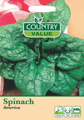Spinach Seeds 'America' by Country Value