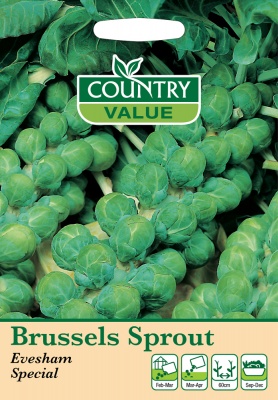 Brussel Sprout Seeds Evesham Special by Country Value