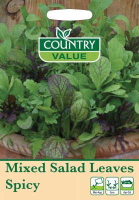 Mixed Salad Leaves 'Spicy' by Country Value