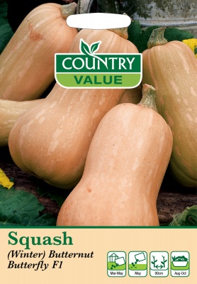 Squash Seeds 'Butternut Butterfly F1' Winter by Country Value
