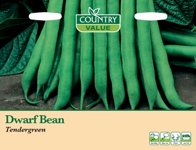 French Bean Dwarf 'Tendergreen' by Country Value