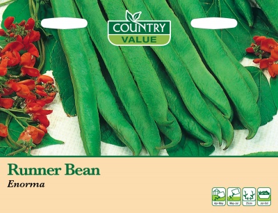 Runner Bean 'Enorma' by Country Value