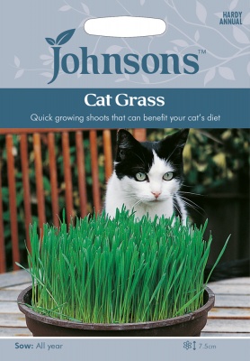 Cat Grass Seeds by Johnsons