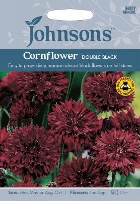 Cornflower Seeds 'Double Black' by Johnsons