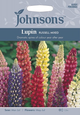 Lupin Seeds Variety 'Russell' Mixed By Johnsons
