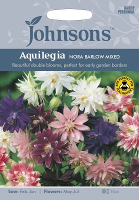 Aquilegia Nora Barlow Mixed by Johnsons Seeds