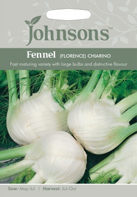 Fennel Seeds 'Florence Chiarino' by Johnsons