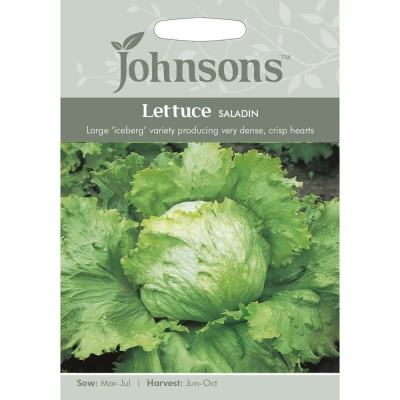 Lettuce 'Saladin' Iceberg Lettuce Seeds by Johnsons