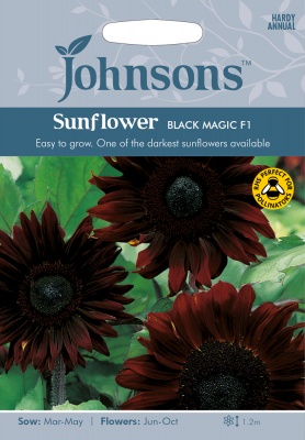 Sunflower Seeds 'Black Magic' by Johnsons