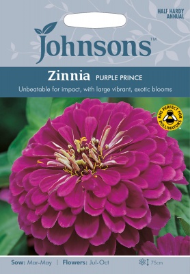 Zinnia 'Purple Prince' Seeds by Johnsons