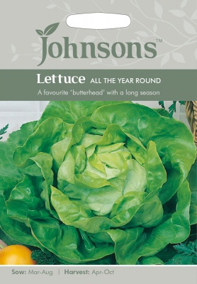 Lettuce 'All The Year Round' - Johnson's Seeds