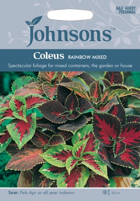 Coleus Seeds 'Rainbow Mixed' by Johnsons