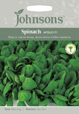 Spinach Seeds 'Apollo' F1 by Johnsons